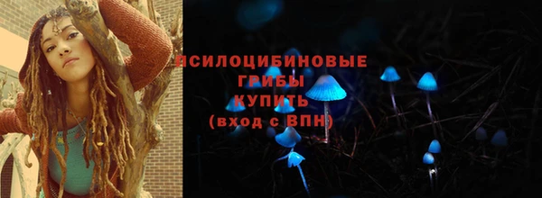 бошки Аркадак