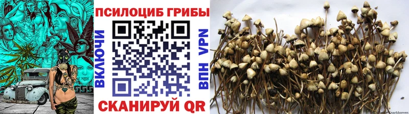 Псилоцибиновые грибы прущие грибы наркотики Спас-Клепики